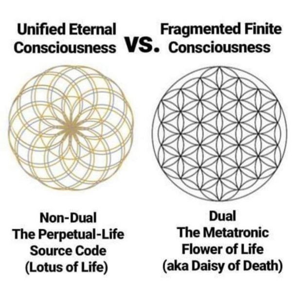 Archivo:5-Metatronic Flower of Daeth.jpg